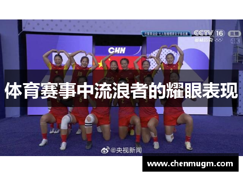体育赛事中流浪者的耀眼表现