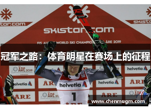 冠军之路：体育明星在赛场上的征程